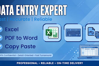 accurate data entry, copy paste, pdf to excel in 2 hours