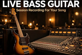 record professional live bass guitar for your song or record