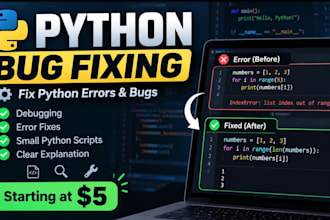 do python coding, debugging and small fixes