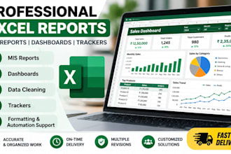 create professional excel reports dashboards trackers and mis reports