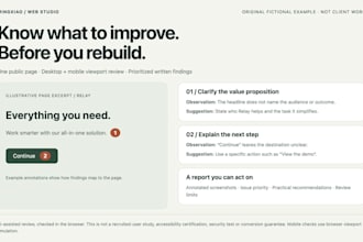 review your website usability and deliver an actionable audit report
