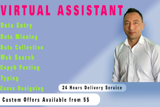 be your virtual assistant, data entry, web search