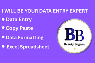 be your data entry expert