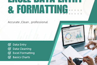 data entry and excel formatting