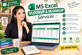 be your excel expert for vlookup hlookup formula projects
