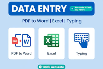 do data entry, pdf to word , excel and typing in 2 hours