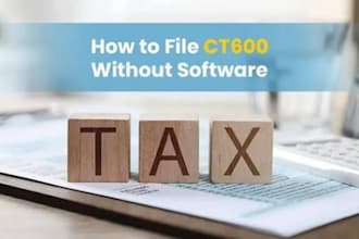 submit and prepare UK ct600 corporation tax return and hmrc self assessment