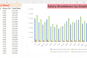 create professional excel salary sheets and automated payroll formulas