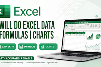 do excel data entry formulas and data cleaning work