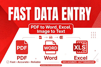 do fast entry typing and excel data conversion