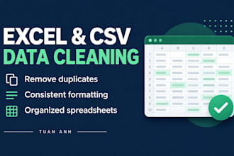 clean and format your excel or CSV data