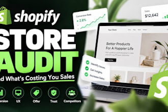 audit your shopify store for better conversion