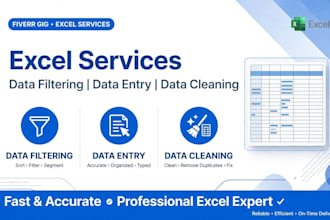 do professional data entry and excel data filtering work