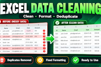 do excel data cleaning and CSV cleanup