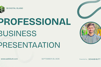 design a professional canva presentation or pitch deck