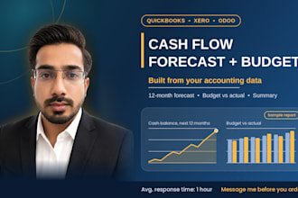 provide financial planning and analysis, budget and forecast