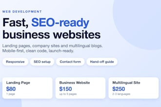 build a fast responsive business website with SEO setup