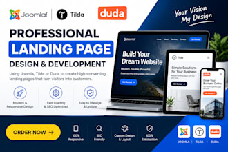 design a professional joomla, tilda, and duda landing page for your business