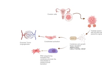 design scientific figures and graphical abstracts in biorender