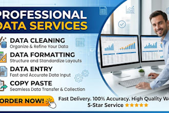 accurate data entry, data cleaning, and excel data formatting