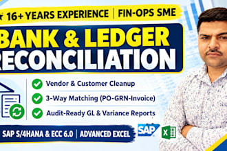 do expert bank reconciliation and vendor ledger cleanup in sap and excel