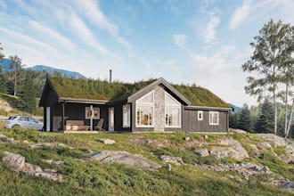 revitalize 3d cabin house,sod roof,exterior chalet,cladding design,front porches