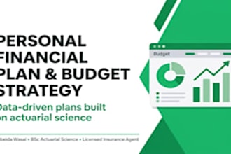 prepare financial projections, business plan and forecasts