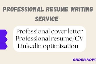 write a professional executive resume
