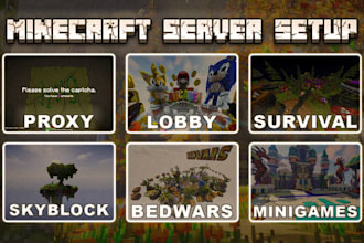 setup and develop a professional minecraft server with plugins