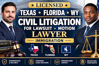 licensed texas florida civil litigation attorney for lawsuit immigration lawyer