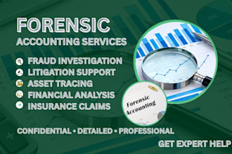 do forensic accounting, fraud investigation and financial analysis