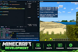 develop minecraft plugins, skripts, commands and custom server features
