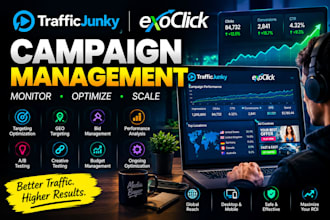 manage and optimize your traffic junky and exoclick advertising campaigns