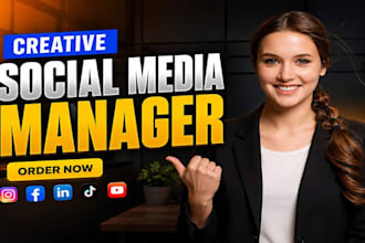 be your social media manager and professional social media marketing manager