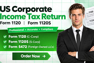 prepare and file the US corporate tax return form 1120 and 1120s