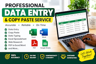 do accurate data entry, copy paste, and excel data entry