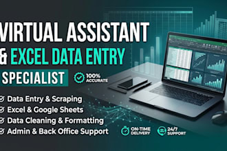 do professional excel data entery and virtual assistant task