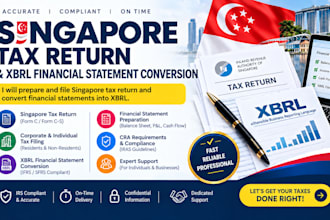 prepare and file singapore tax return and convert financial statements into xbrl