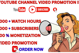do organic youtube channel promotion,video grow monetize,short SEO subscription
