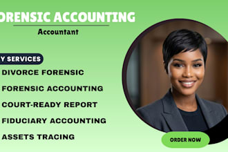 do professional forensic accounting, fraud investigation, audit, assets tracing