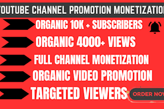 promote youtube channel and organic growth