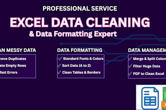 do professional ms excel data cleaning and data formatting
