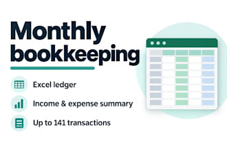 organize your monthly bookkeeping and prepare an excel ledger