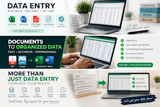 do excel data entry, data cleaning and formatting