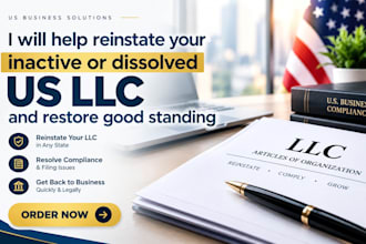 help reinstate your inactive or dissolved US llc and restore good standing