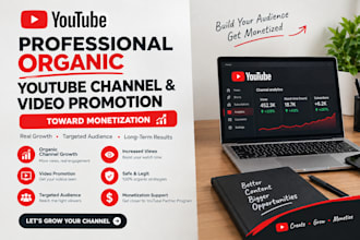 professional organic youtube channel and video promotion toward monetization