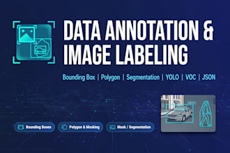 do accurate data annotation, image labeling and data entry for ai