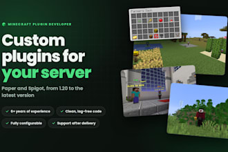 develop a custom minecraft plugin for your server