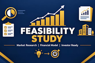 do an investor ready feasibility study and market research