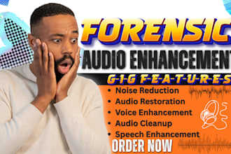do forensic audio enhancement, audio cleanup, noise reduction and audio editing
